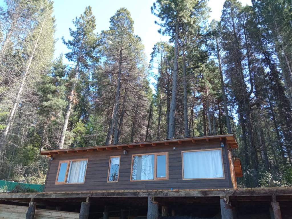The cabin under tall pines