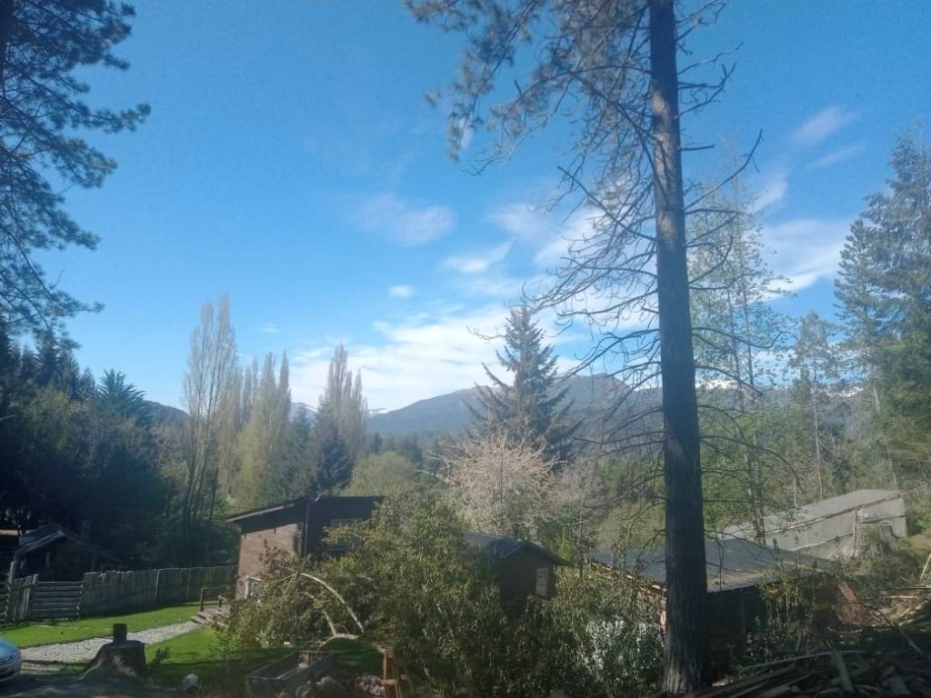 Trees and hills from the garden