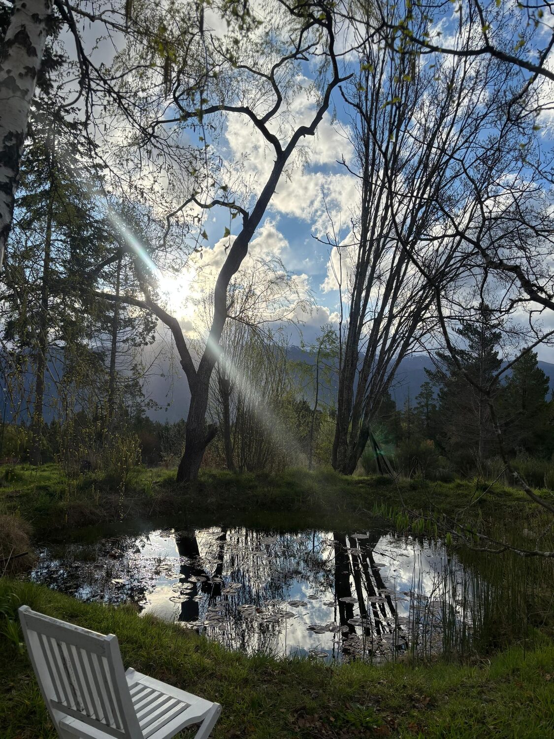 Atardecer en la laguna