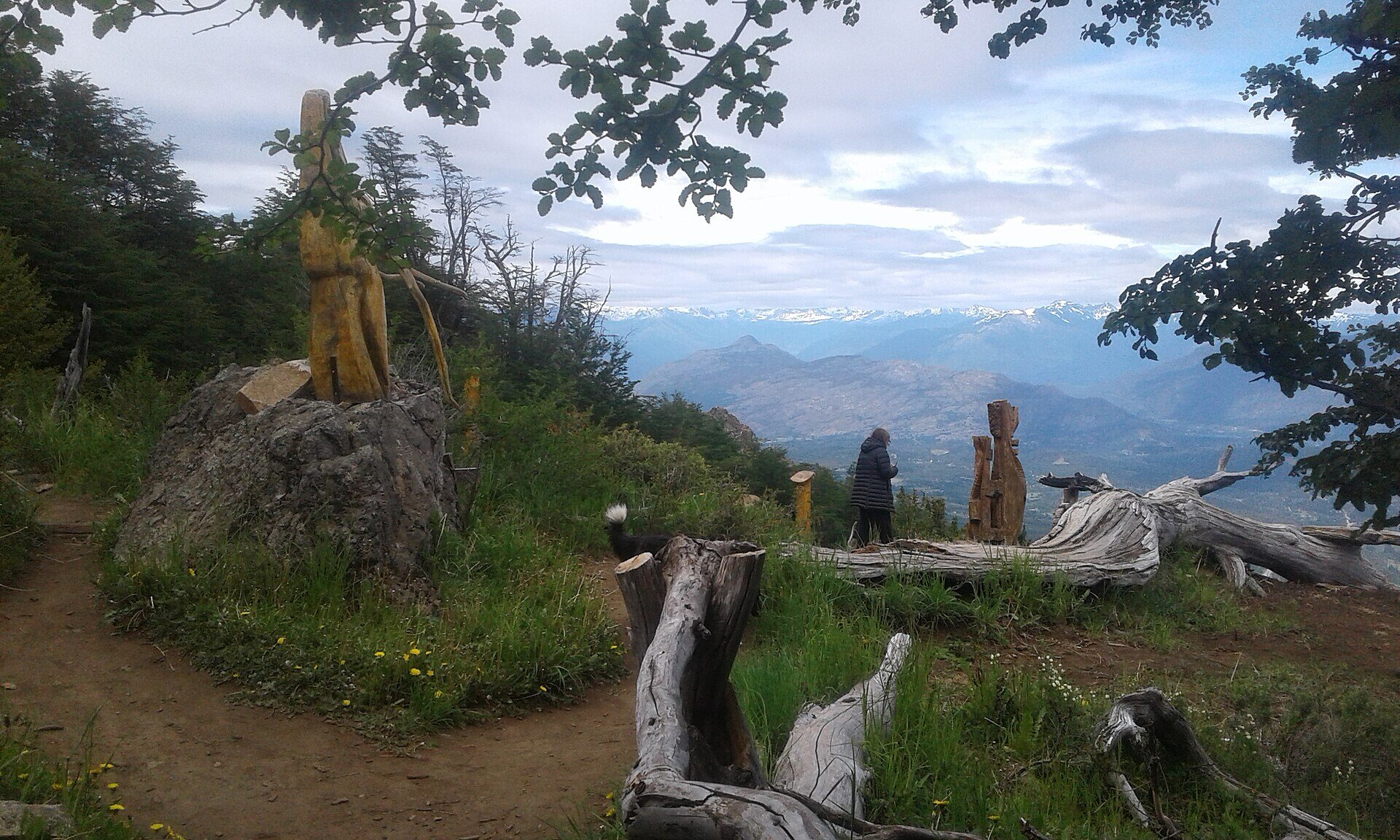 Bosque Tallado · Piltriquitrón