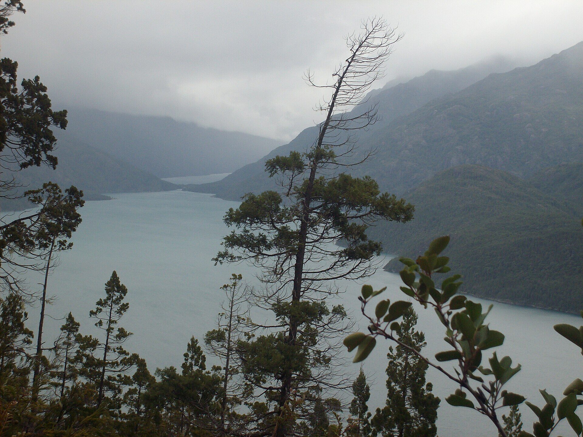 Lago Puelo desde el cerro Currumahuida