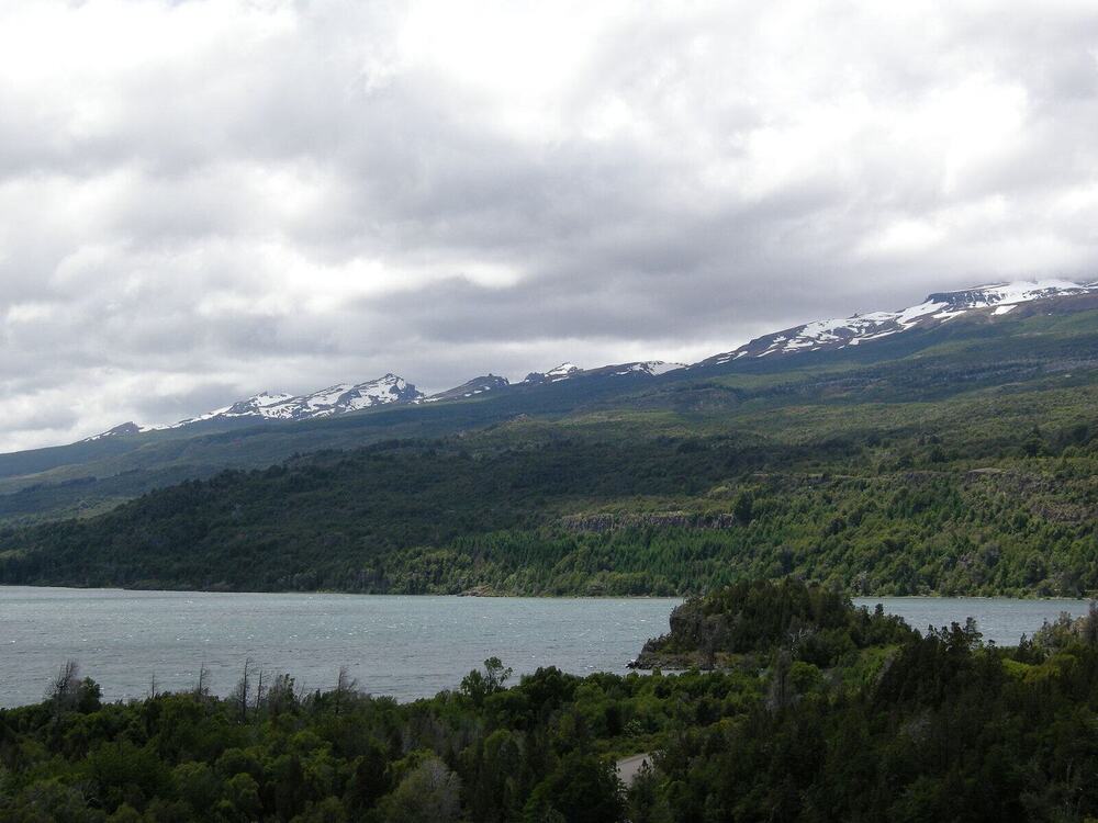 Los Alerces forests