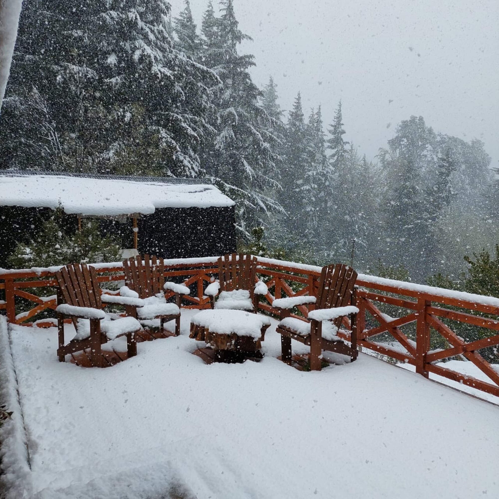The deck under snow