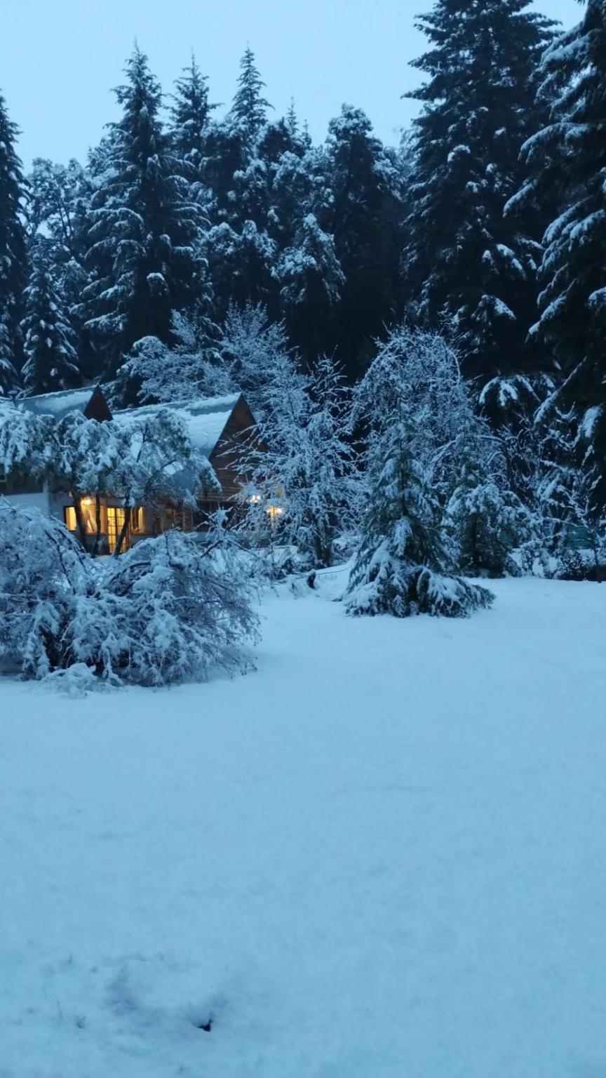The house in winter