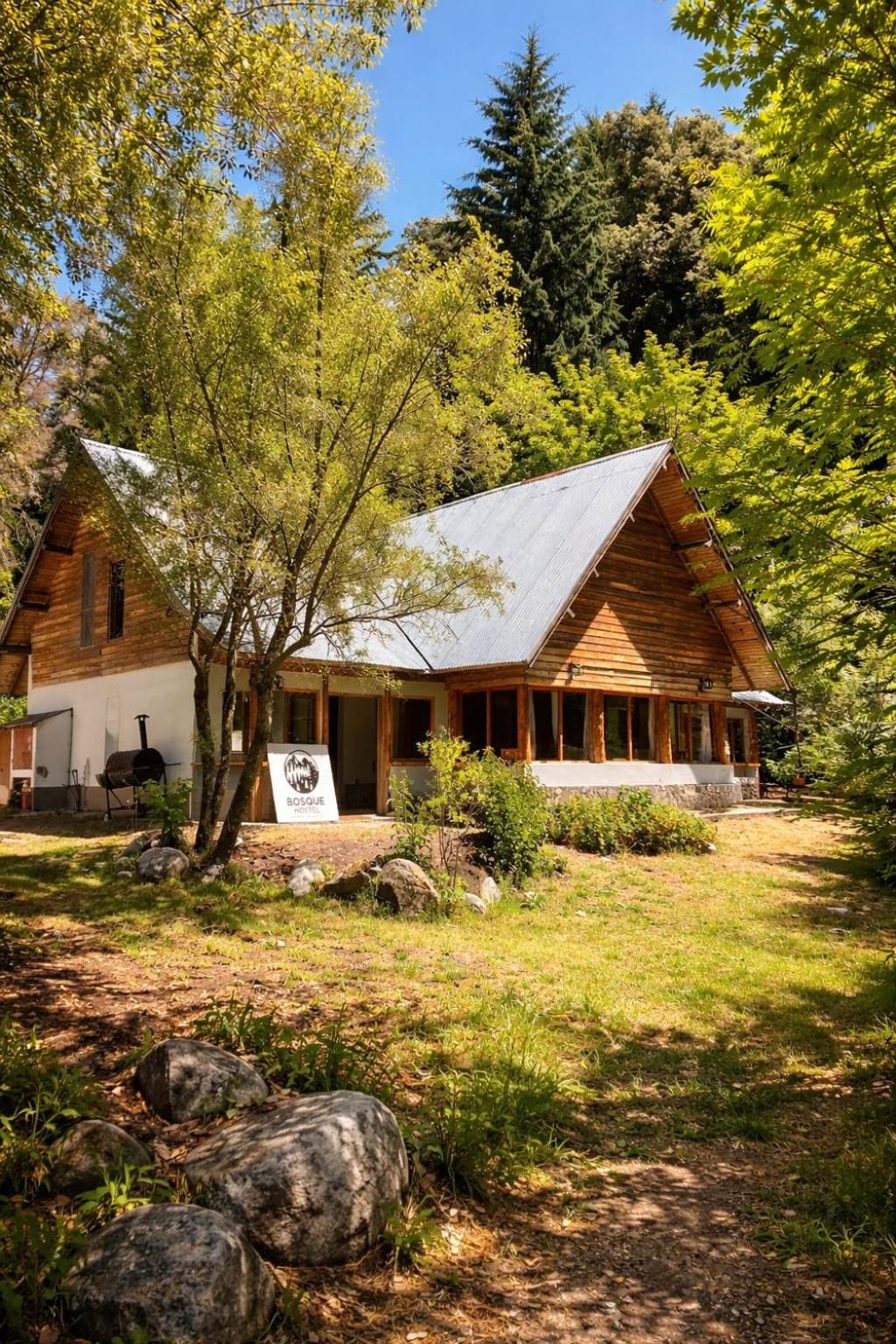 The house among the trees