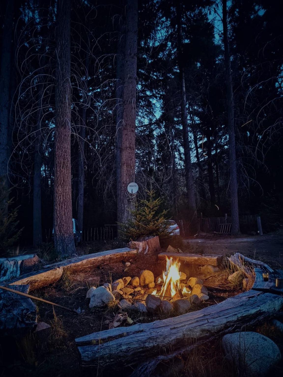 Campfire burning among logs at night in the forest