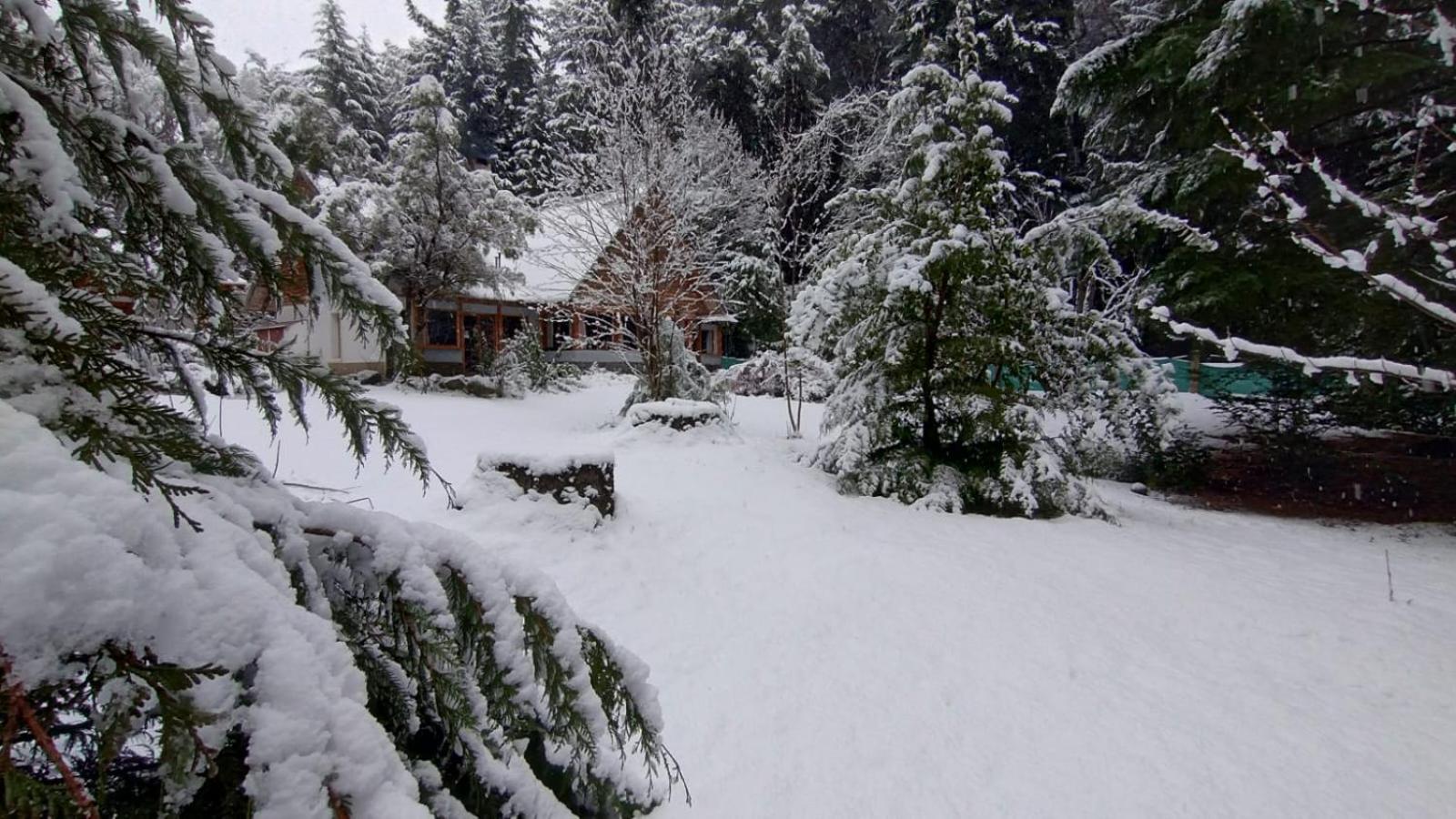 The snowy garden