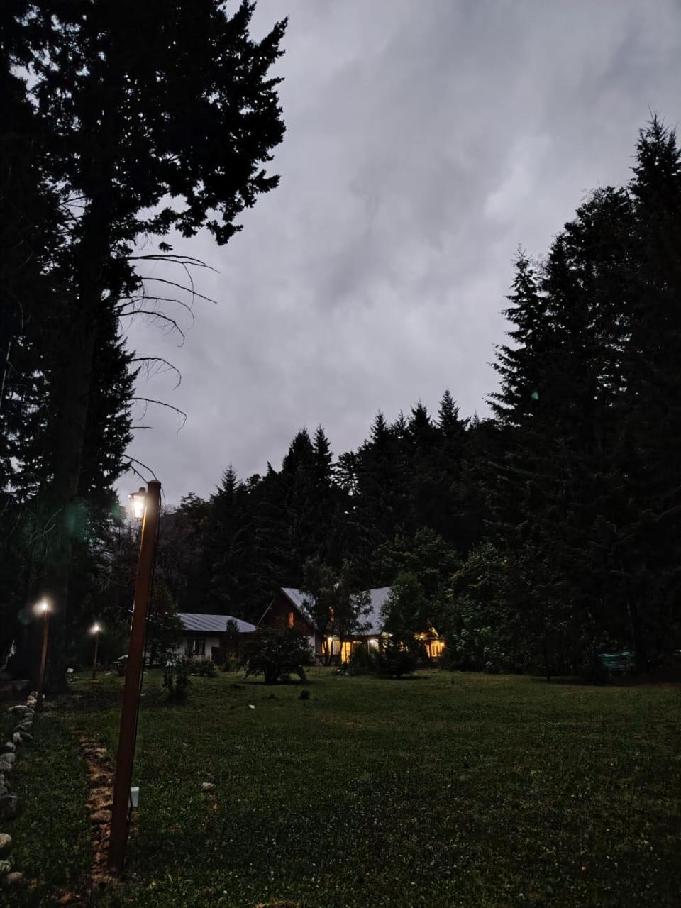 The garden at night