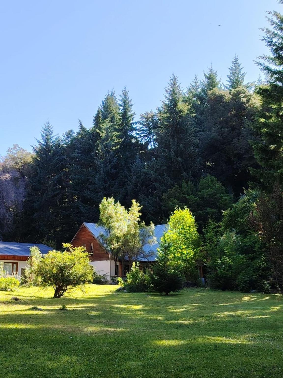 Green garden with the house among the trees