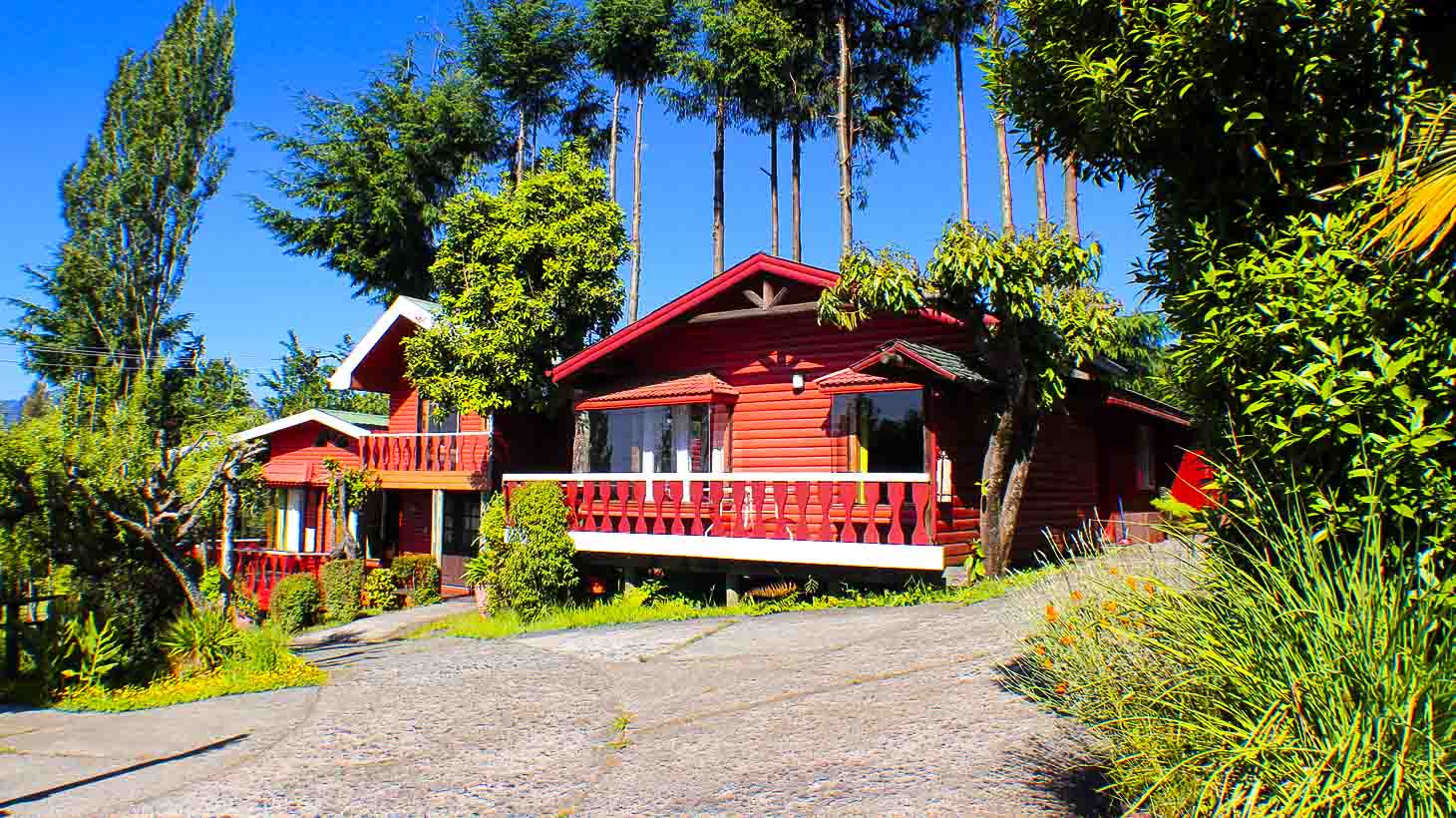 Cabañas de madera roja entre el bosque