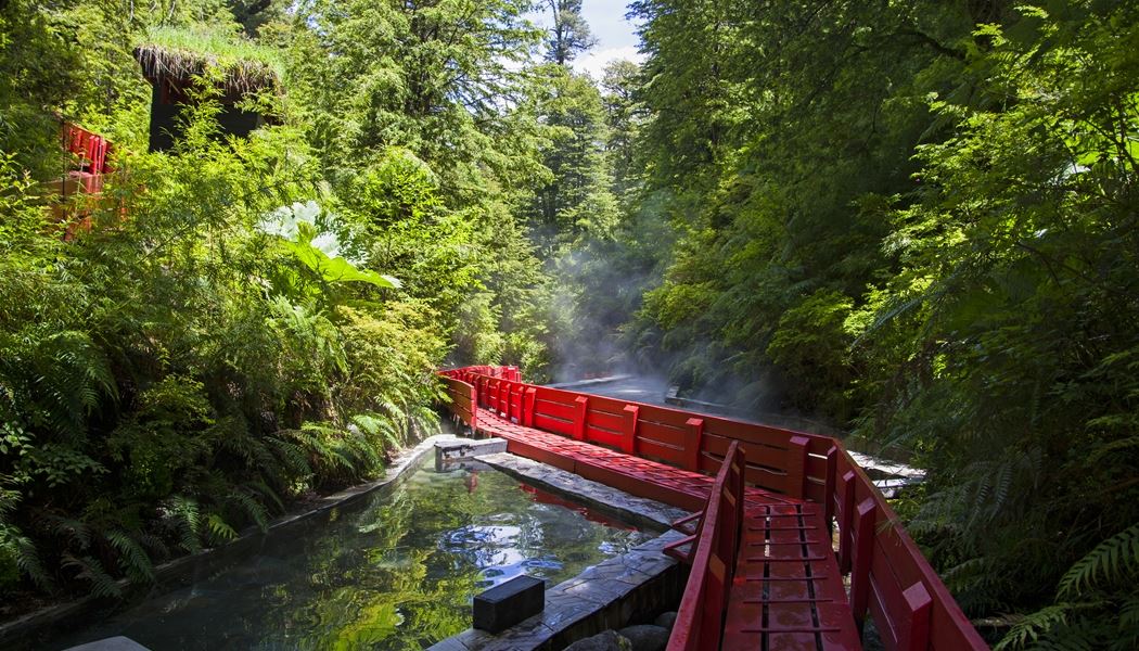 Pasarela roja entre el bosque en las Termas Geométricas
