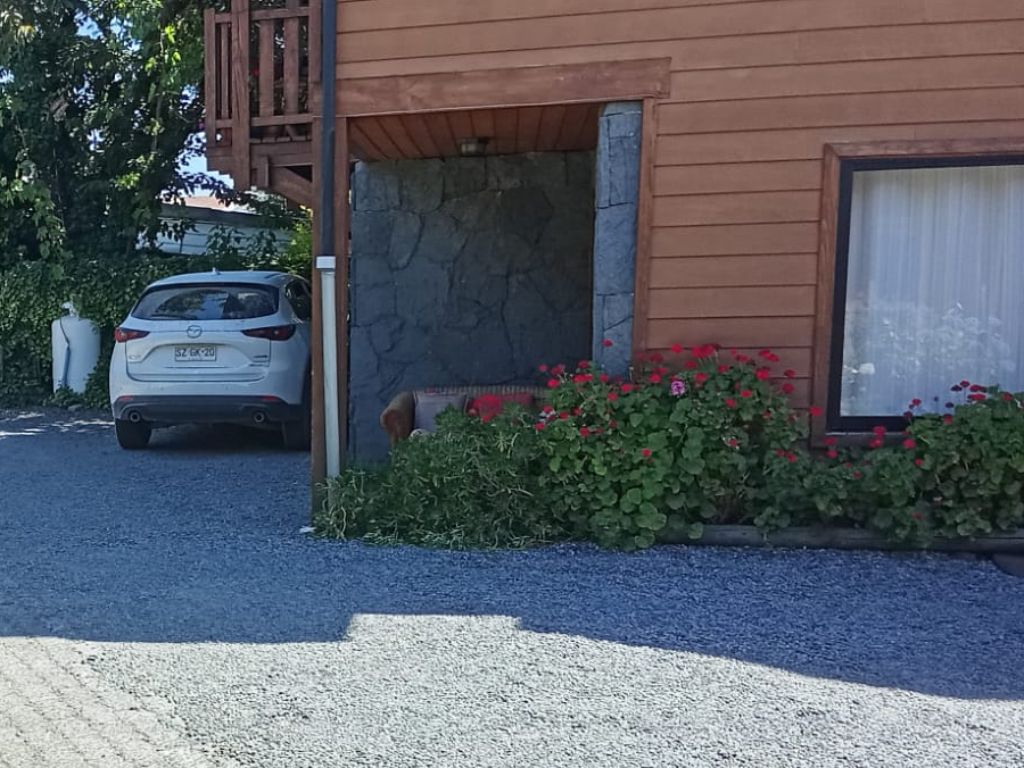 Estacionamiento privado del hotel con flores junto a la fachada