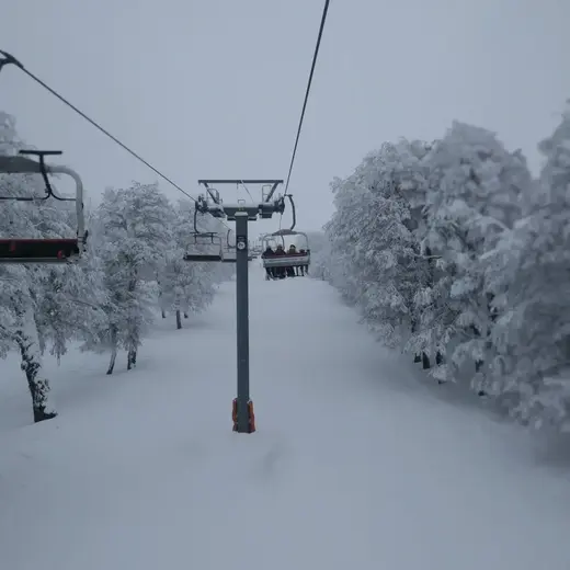 Aerosilla sobre un bosque nevado en Chapelco