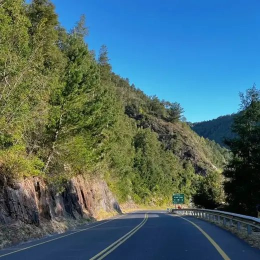 Ruta de curvas entre un bosque y la montaña