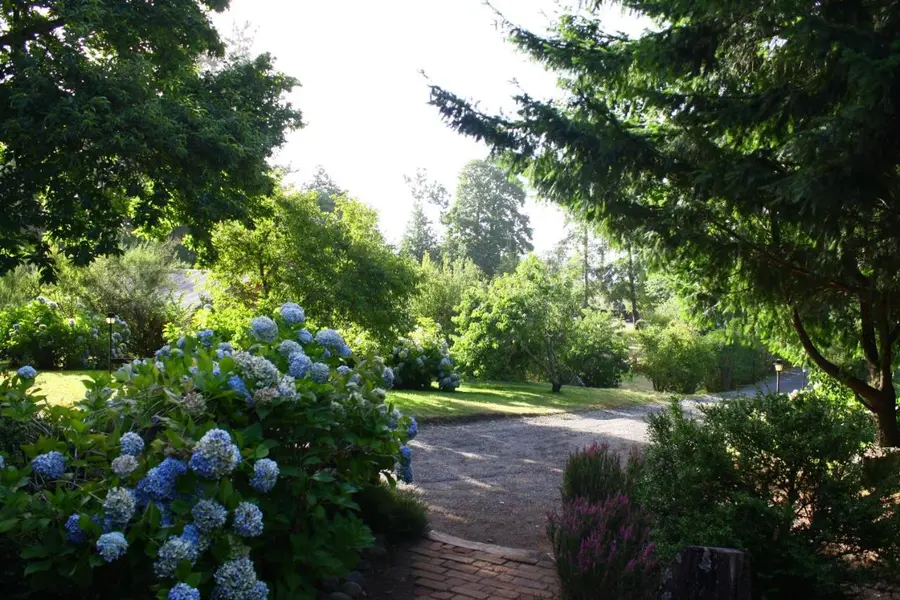 Jardín con hortensias y un camino entre árboles