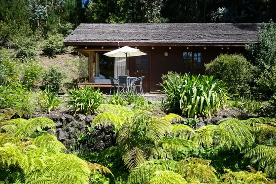 Cabaña de madera con terraza entre helechos y piedra volcánica