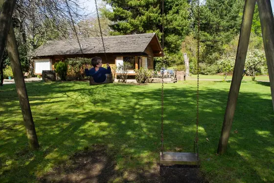 Columpio de madera bajo los árboles frente a una cabaña