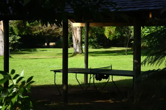 Mesa de ping pong bajo una pérgola en el jardín