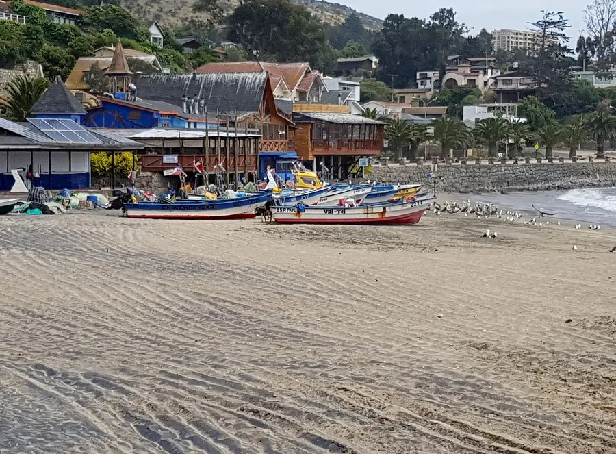 La playa y la caleta de Papudo