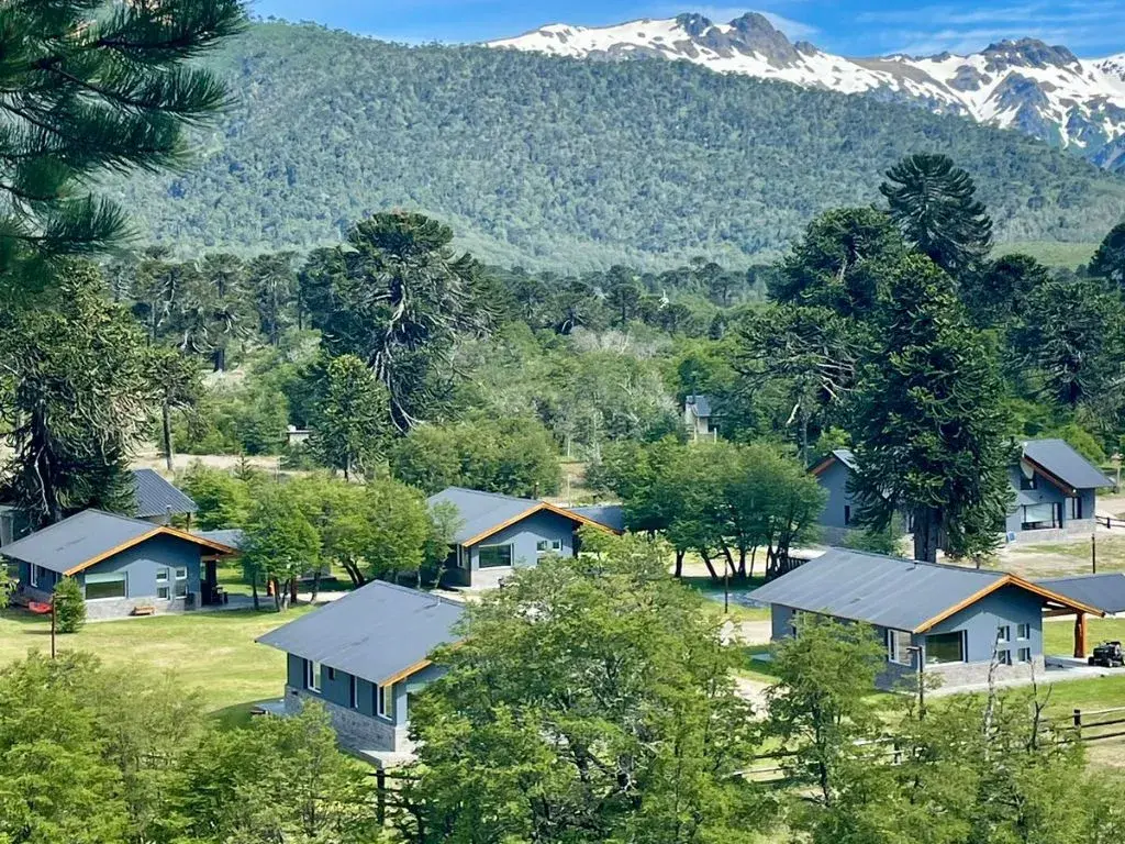 Las cabañas del complejo entre araucarias, con la cordillera nevada de fondo