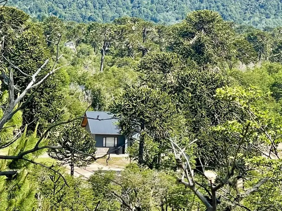 Una cabaña entre el bosque, vista desde la barranca