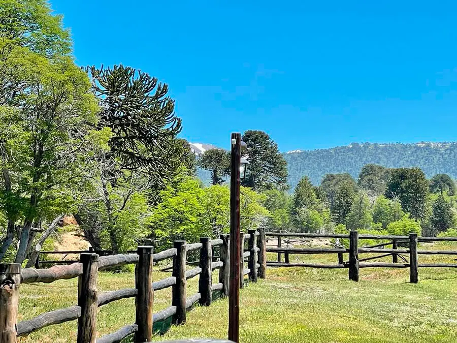 Araucarias y cerros alrededor del parque