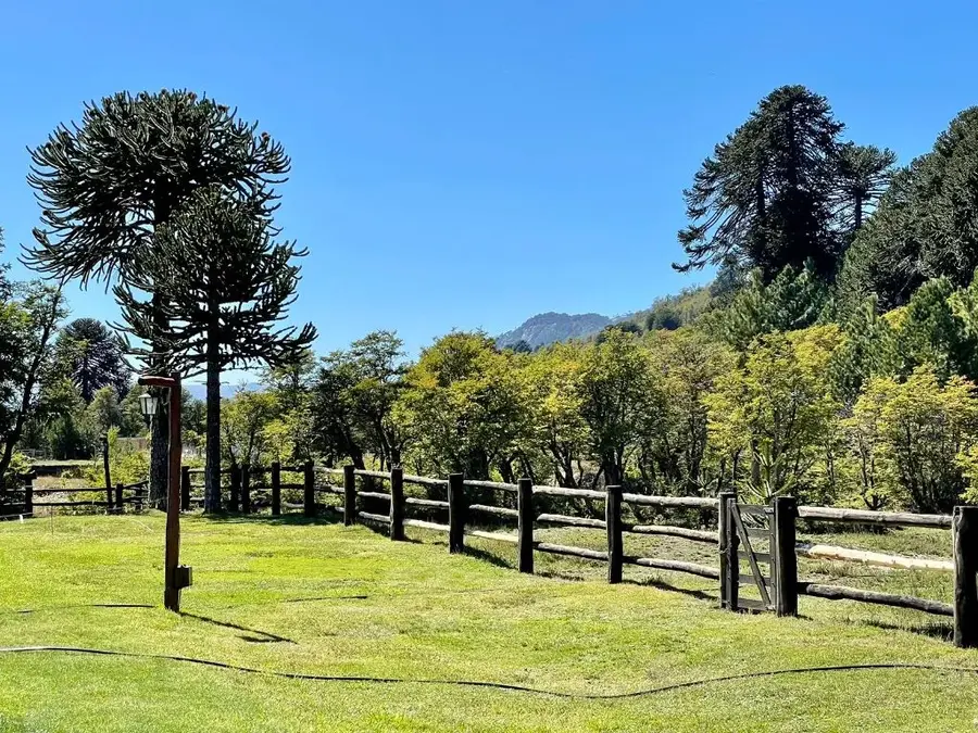 El parque, con cercos de madera y araucarias