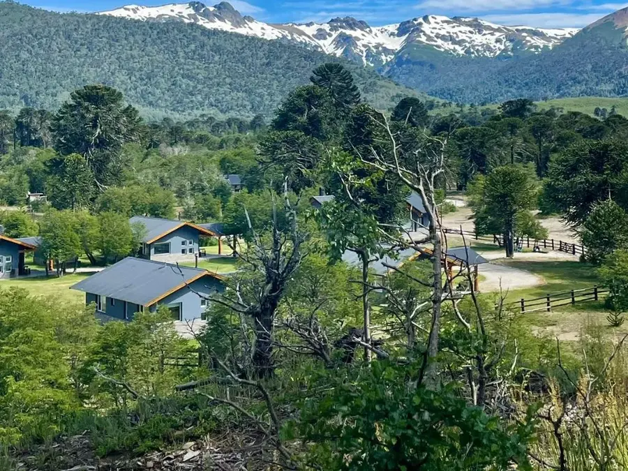 El complejo entre araucarias, con la cordillera nevada