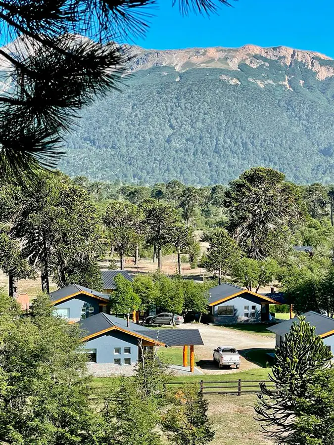 Las cabañas entre los árboles, vistas desde la barranca