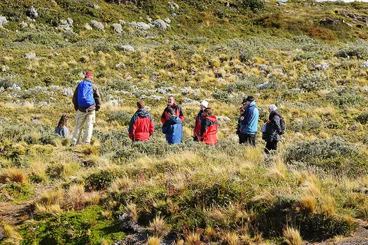 Caminata en la isla Bridges