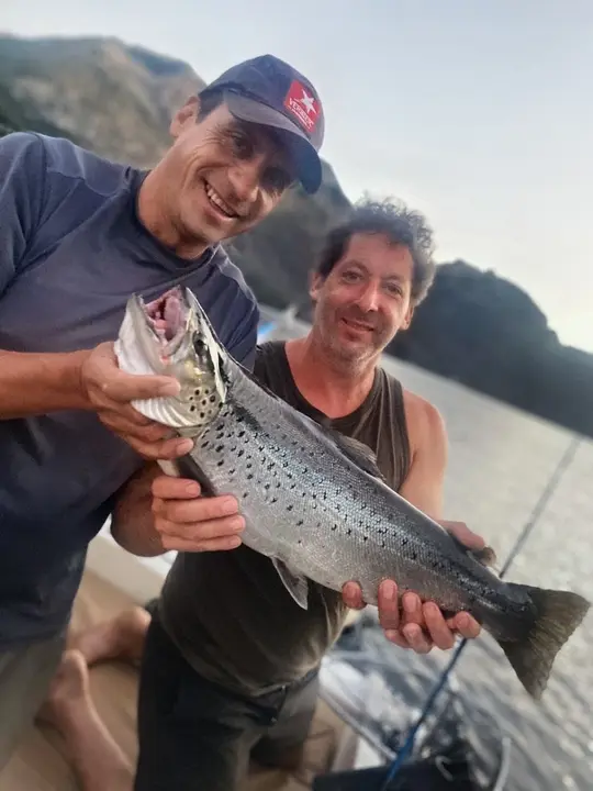 Una trucha marrón recién sacada, a bordo, con la costa del lago de fondo