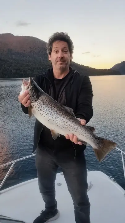 Una trucha marrón en la proa de la embarcación, al atardecer
