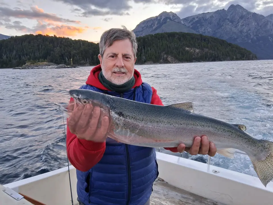 Una trucha arco iris al atardecer, con la cordillera detrás