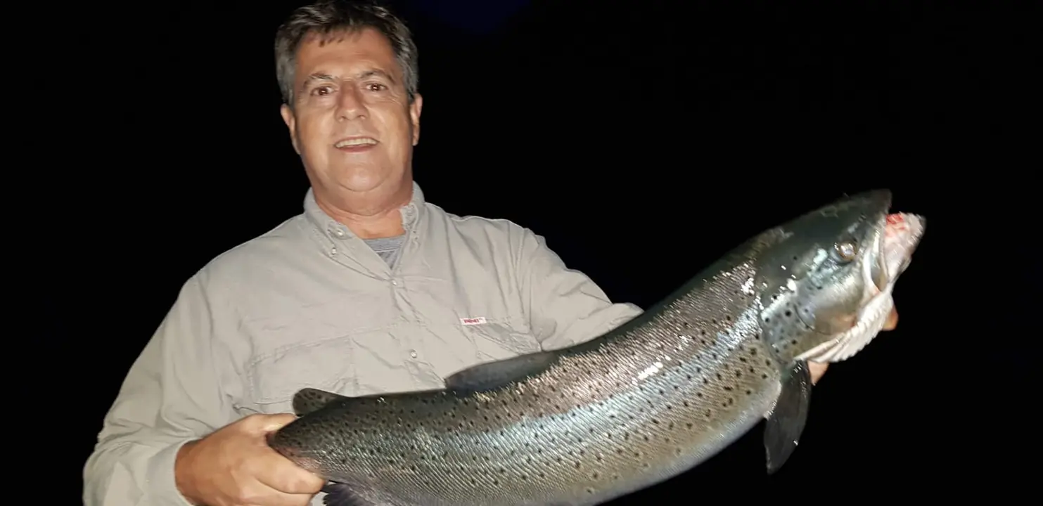 Una trucha marrón pescada de noche