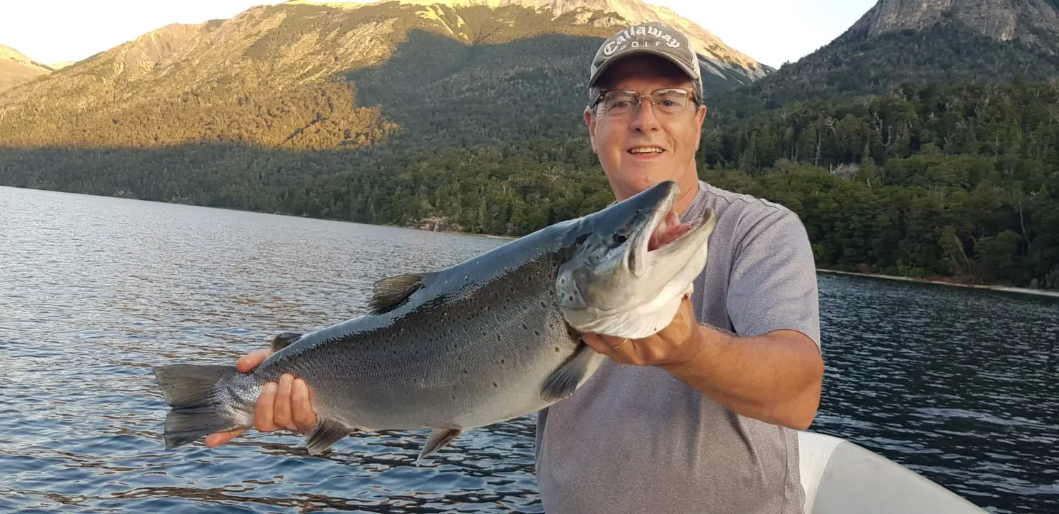 Una gran trucha marrón a bordo, con el cerro iluminado por el último sol