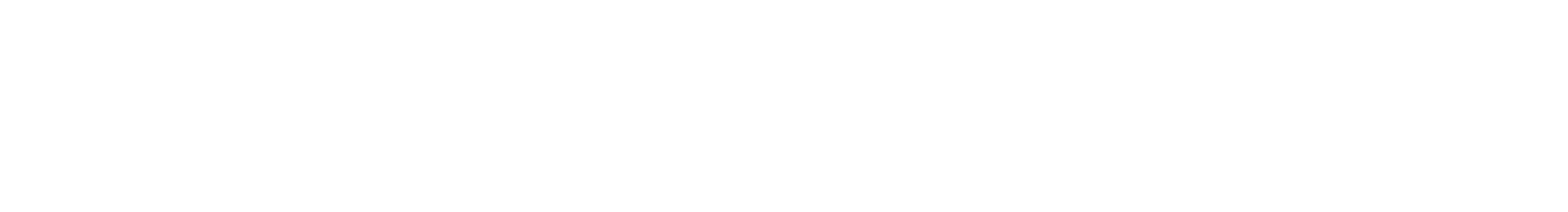 Nahuel Huapi a Bordo