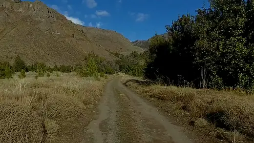 Camino de tierra entre pastizales