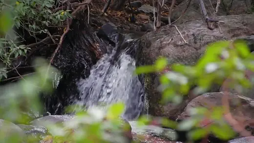 Pequeña cascada entre rocas y vegetación