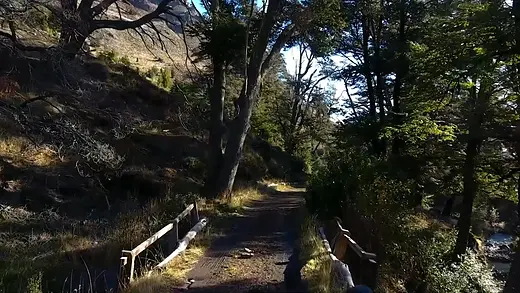 Sendero con un pequeño puente de madera