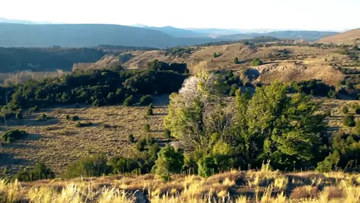 Valle amplio con arbustos y montañas