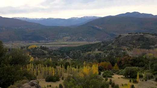 Valle con álamos amarillos de otoño