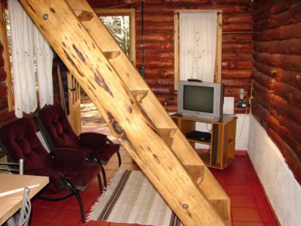 Estar con sillones y televisor
