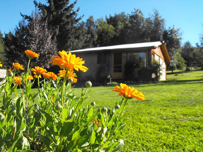 Primavera: Flores en todo el parque