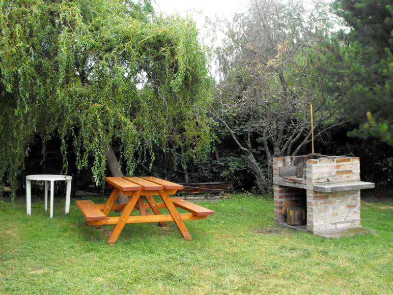 Parrilla y mesa bajo los sauces