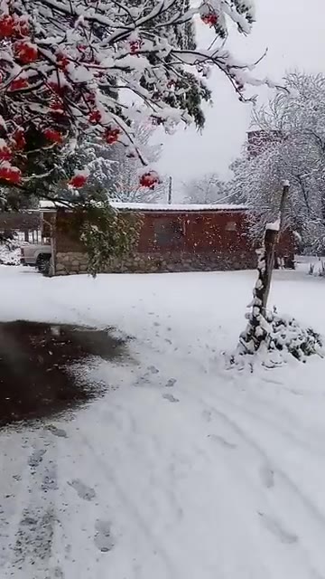 Winter: The grounds under snow