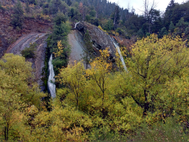 Cascadas entre el bosque