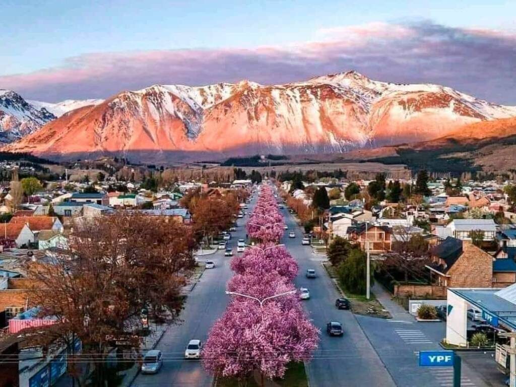 Avenida con árboles en flor y la cordillera al atardecer